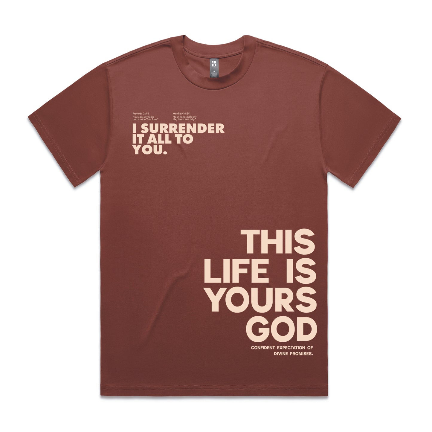 Men's Heavy  Tee Oversized This life is yours God